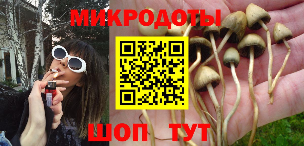 где купить наркоту  Псилоцибиновые грибы GOLDEN TEACHER  Вход с VPN  Благовещенск 
